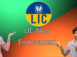 LIC New Endowment 714